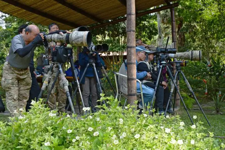 Bird photographers at Tinamú Birding Nature Reserve