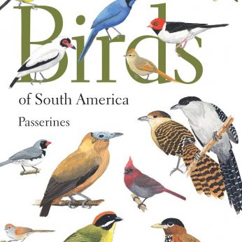 Books, Handbooks and Guides for Neotropical Birding you Have to Know