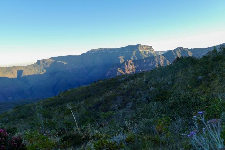 Cerro Pintado, Perijá Mountain Range, Manaure, Cesar