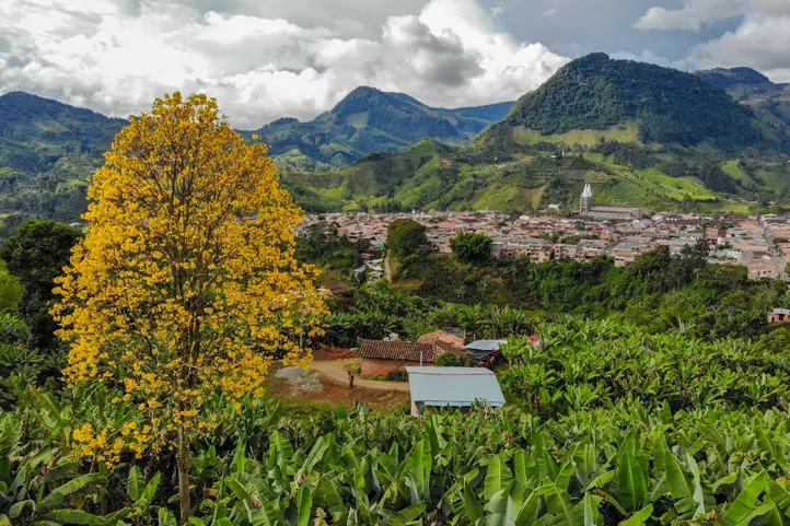 Bird watching spots in Antioquia