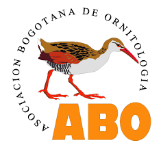 Bogota Association of Ornithology (ABO)  Logo honoring the Bogotá Rail (Rallus semiplumbeus)