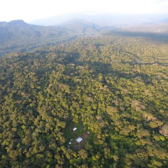 Remote Birding Hotspot in Putumayo: La Isla Escondida, Colombia