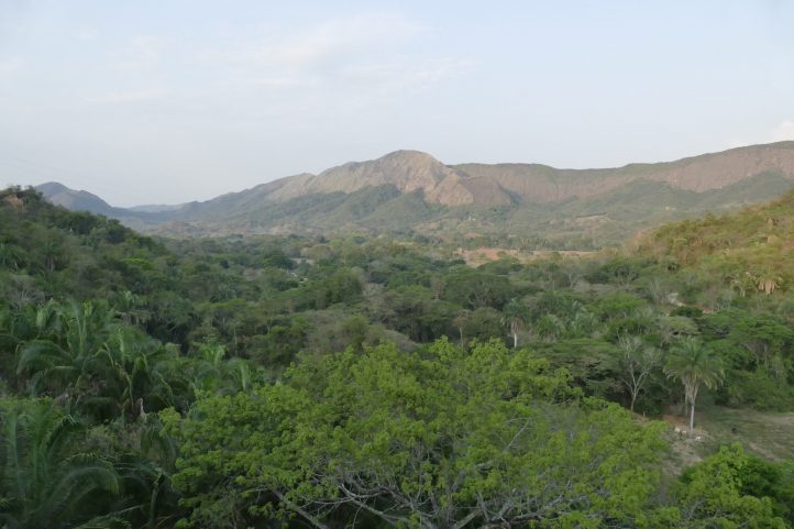 Inter Andean Tropical Dry Forest from ana Dulce Reserve