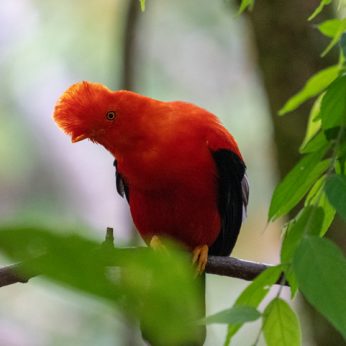 Best Nature Spots Around the 18 Heritage Towns of Colombia