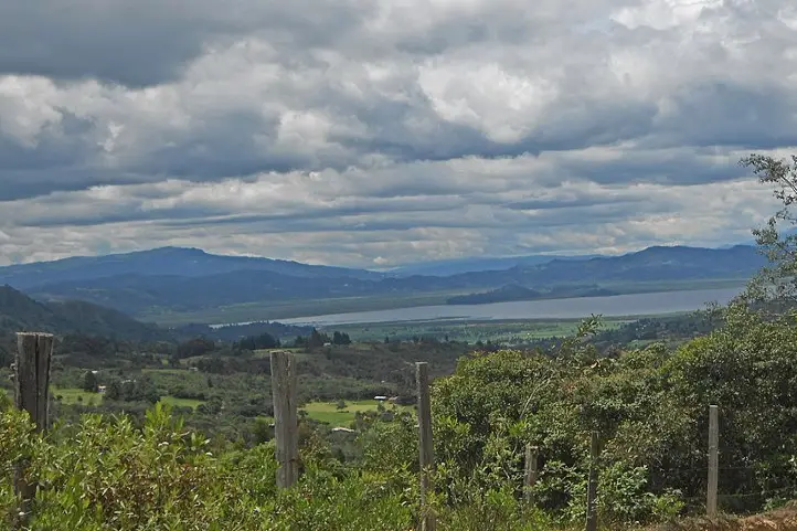 This photograph was taken in a protected area of Colombia with the RUNAP code 1221. 26 May 2019. Author FRANCY RAMIREZ