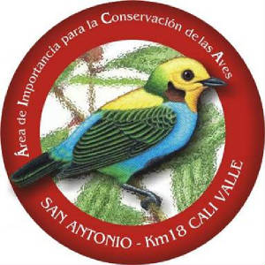 The Multicolored Tanager is the symbol of the IBA/AICA “Bosque de Niebla de San Antonio- Km 18” ©Asociación Rio Cali