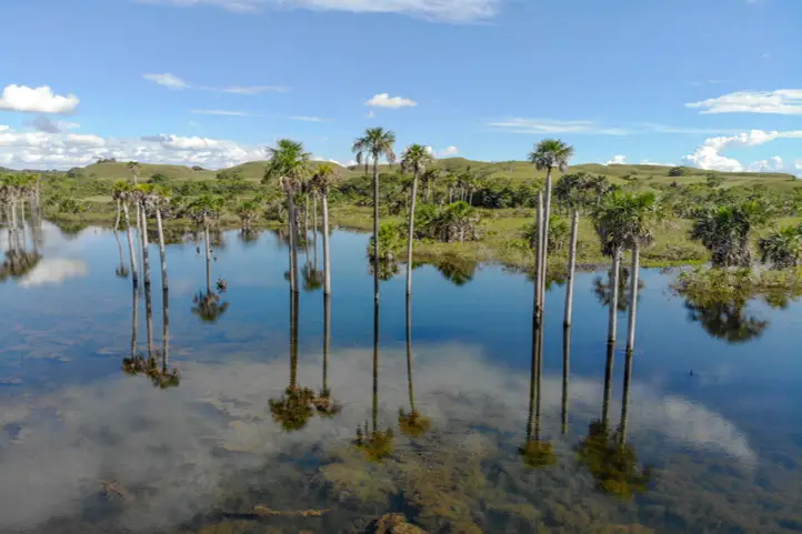 Lagos de Menegua Hotel & Bioreserve