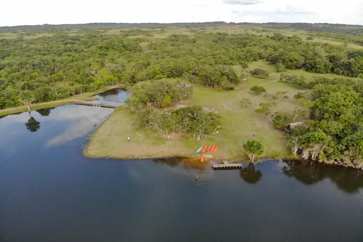 Mojarra - Lagos de Menegua Hotel & Bioreserve