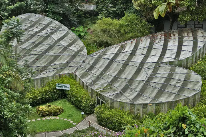 Butterfly Garden (Mariposario) of the Botanical Garden of Quindío