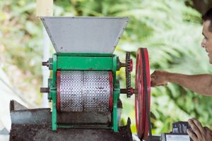 Coffee Production in Minca, Sierra Nevada de Santa Marta