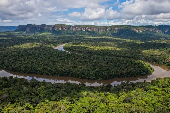 Chirbiquete ©Parques Nacionales Naturales