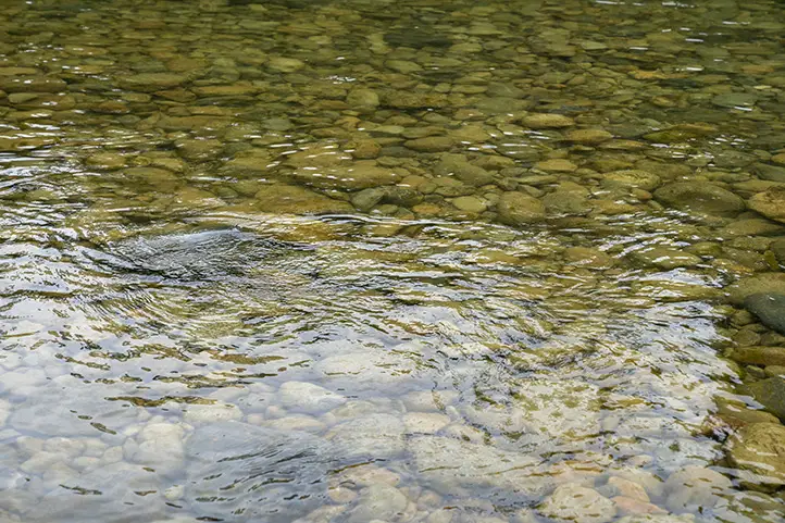 Cristaline Waters of San Cipriano