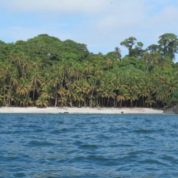 From a Cursed Island to a Paradise: Gorgona Island National Natural Park