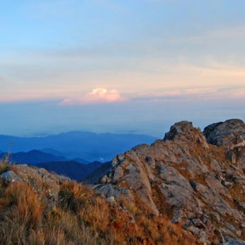 Farallones de Cali Natural National Park, the Land of the Tororoi Bailador